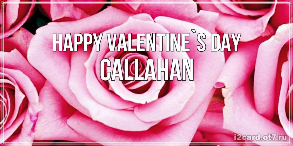 Greetings card с именем, Callahan Happy Valentine`s Day роза розовая на день Святого Валентина Greetings with text for free download 